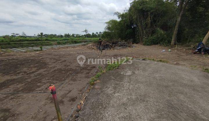 Rumah Murah di Selomartani hanya 295 juta 1
