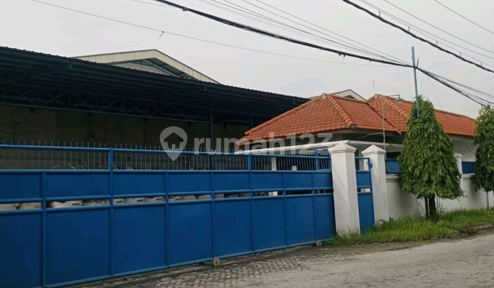 Gudang Siap Pakai Tambak Sawah Waru 1,2 Hektar 70M Gudang Siap Pakai Tambak Sawah Waru 1,2 Hektar 70M