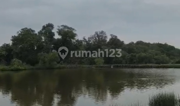 Lahan Tambak Gunung Anyar 4 Hektar SHM Cocok Perumahan Murah 1,5Jt/M