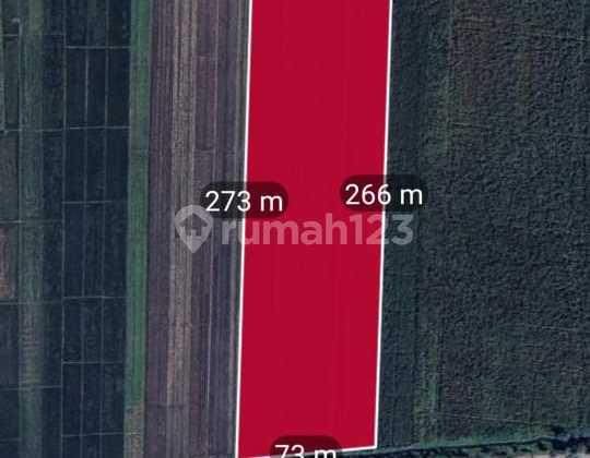 Jual Tanah Industri 2 Hektar Kemlagi Mojokerto 850rb/m