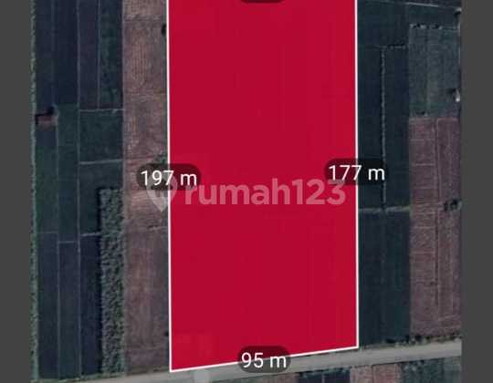 Tanah Industri 1,7 Hektar Jetis Mojokerto 1jt/m Nego