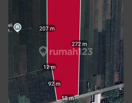 Jual Tanah 2,2 Hektar Industri Kemlagi Mojokerto 950rb/m