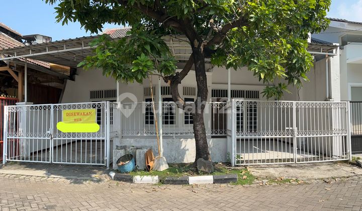 Cheap Rent Nice House Near Petra Christian University