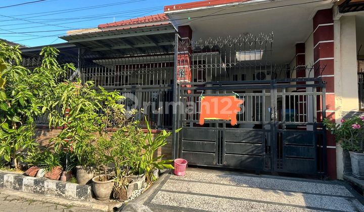 Dijual Rumah Minimalis Darmo Indah Selatan, Bisa Dibuat Kos 2