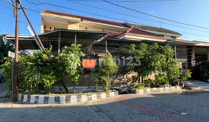 Dijual Rumah Minimalis Darmo Indah Selatan, Bisa Dibuat Kos Dijual Rumah Minimalis Darmo Indah Selatan, Bisa Dibuat Kos