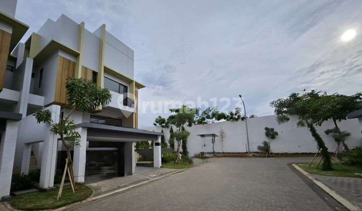 Di Sewakan Rumah Baru di Bsd (Blizzfield) Ada Extra Taman Disamping Cocok Buat Pecinta Doggy