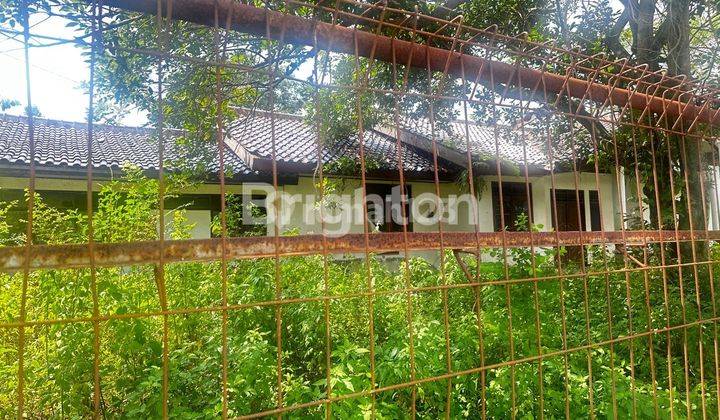 RUMAH HARGA TANAH DI CIJUJUNG SENTUL 1