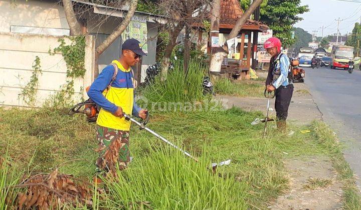 Tanah SHM Lokasi Strategis di Gubug, Grobogan 2