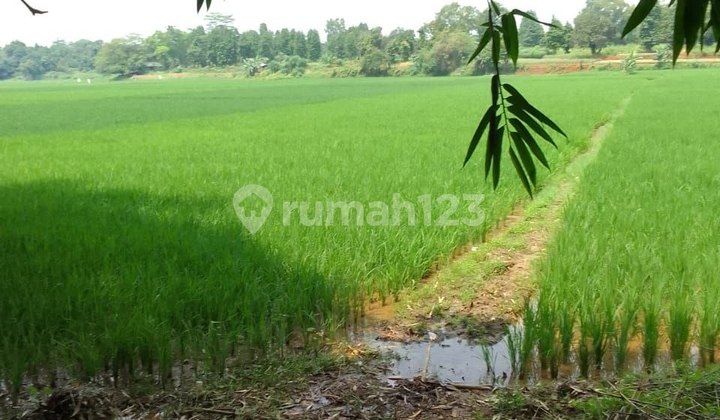 Tanah Kosong Di Daerah Bekasi Kec Setu, Tambun Selatan 1