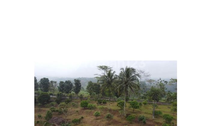 Dijual Tanah Perkebunan di Parung kuda Sukabumi #OC01SEP25