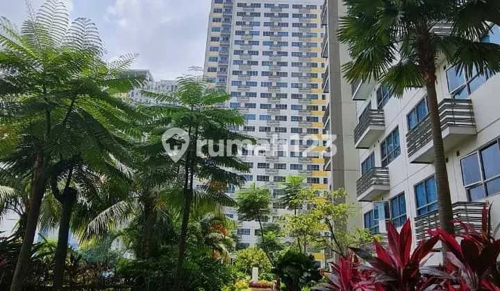 Dijual Apartement Furnished The Springlake Summarecon Bekasi #Tik16des25 Dijual Apartement Furnished The Springlake Summarecon Bekasi #Tik16des25