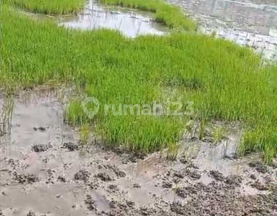 Dijual Tanah Lokasi Strategis Cocok Utk Villa, Perumahan Skala Kecil di Wiyung, Surabaya #Mel9des25