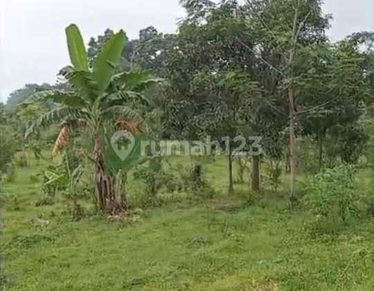 Dijual Tanah Lokasi Strategis Cocok untuk Resort, Perumahan, Villa di Ledug Prigen Pasuruan #MEL9DES25