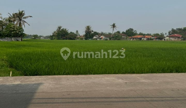 Quick Sale Land in West Balaraja