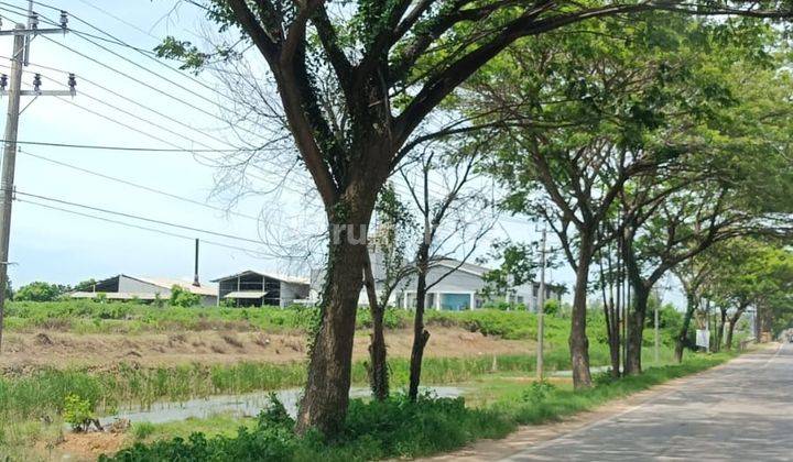 DIJUAL TANAH SEBELAH BEKAS PABRIK TEPUNG - TUBAN DESA BANCAR 1