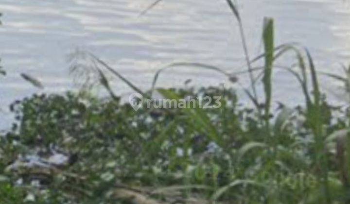 Lahan Luas Untuk Sawit Pinggir Sungai  1
