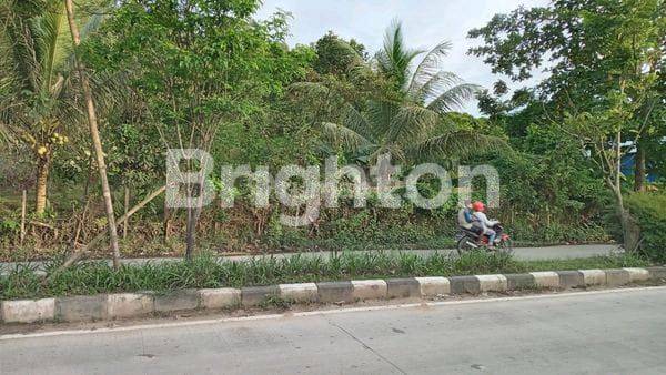 Lahan Luas Di Pinggir Jalur Dua 1