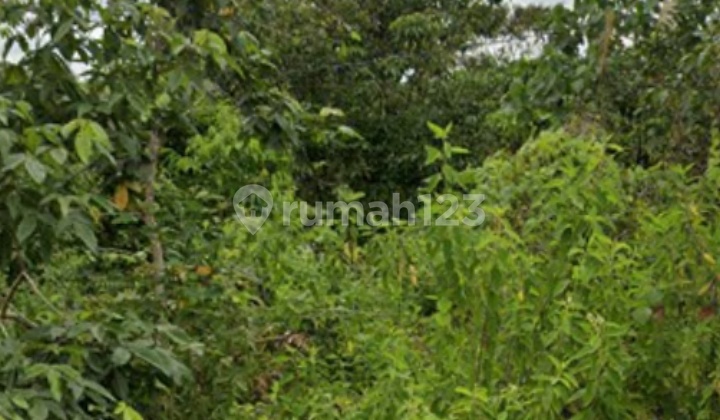 Lahan Luas Area Industri 2