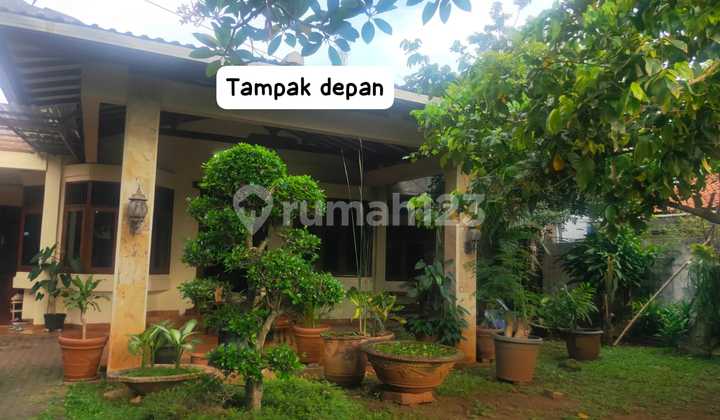 Dijual cepat rumah di cipadu jaya, larangan Tangerang
