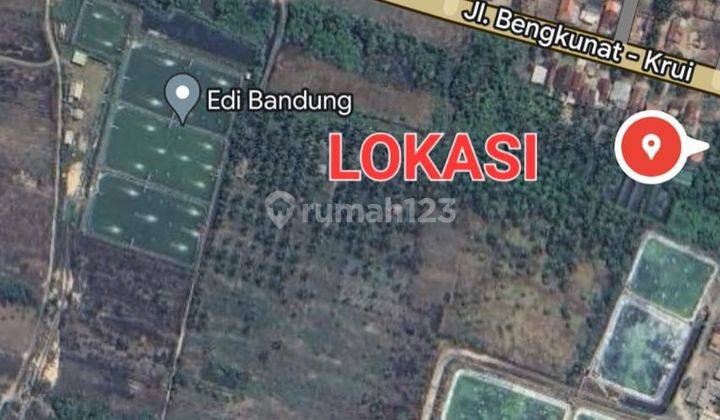 Dijual Tanah Murah di Lampung Barat Dekat Pantai 1