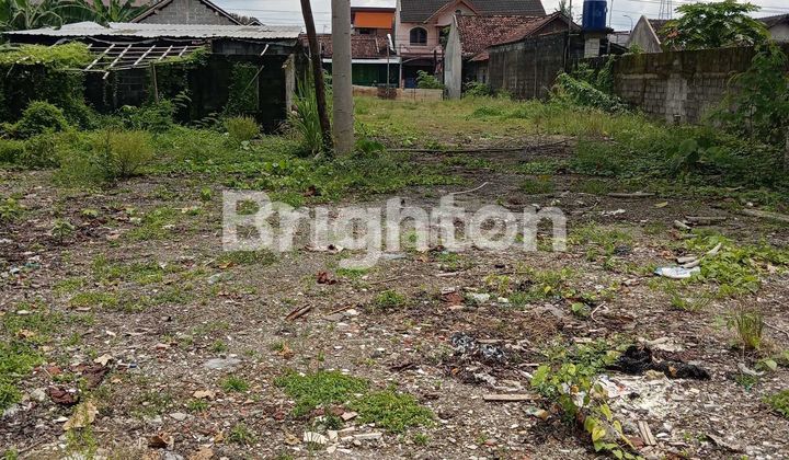 DISEWAKAN TANAH 2