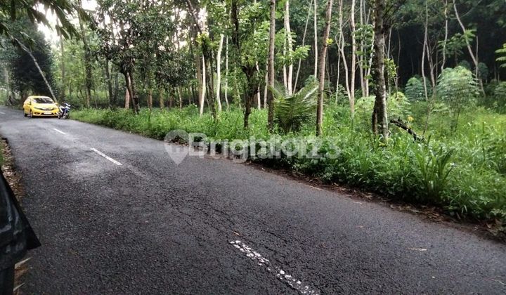 INVESTASI TANAH DI JALUR WISATA TEPUS  GN KIDUL