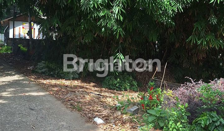 Tanah Kebun di Gunung Sindur Tanah Kebun di Gunung Sindur