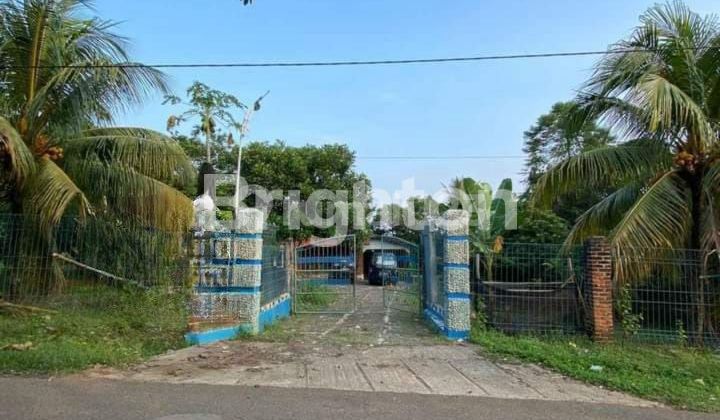 RUMAH DAN TANAH YANG LUAS 1