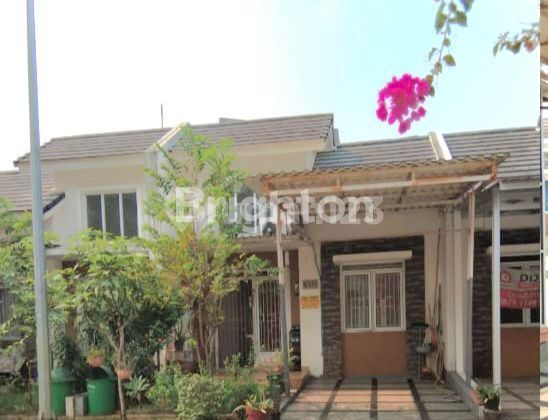 CATLLEYA CLUSTER in SERPONG NATURA CITY 2