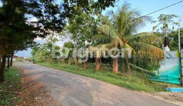 RUMAH DAN TANAH YANG LUAS 2