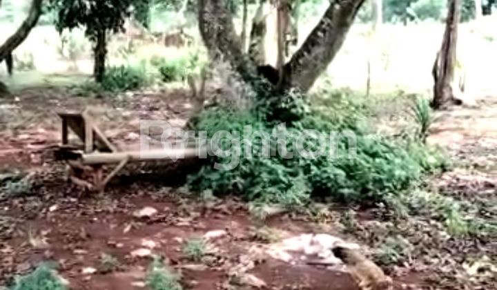 LAHAN SANGAT STRATEGIS