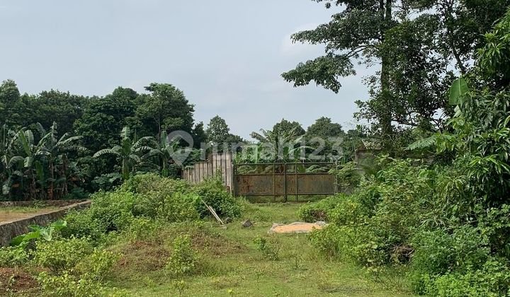 Dijual Tanah Seluas 9013 M2 Di Cikeusal Serang Banten
