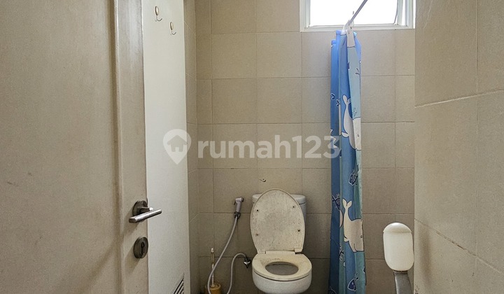 Michelia Lebar 8 Termurah 2