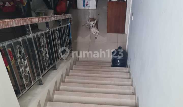 Cheapest Flamingo Gading Serpong 2