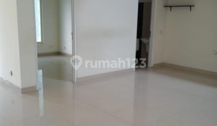 Cheap Sale Pascal Scientia L10