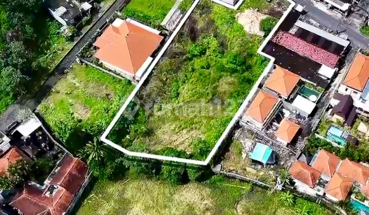 Tanah Strategis Pinggir Jalan Utama Bantas Mengwi Kesempatan Emas Buat Para Investor Tanah Strategis Pinggir Jalan Utama Bantas Mengwi Kesempatan Emas Buat Para Investor