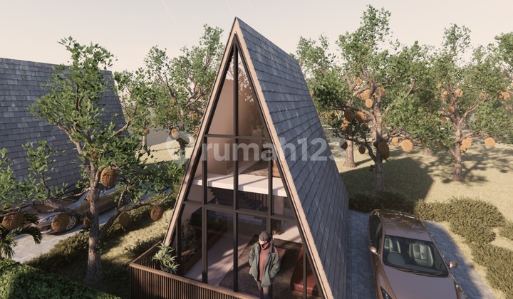 Premium, Tanah Kavling Durian Musangking 10 Are - View Hill, Ocean, Forrest - Investasi Agro & Eco Tourism Di Penebel Tabanan. 2