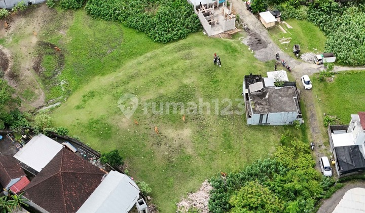 "Golden Opportunity! Land for Sale in the Bustling Kebo Iwa Area, Denpasar"