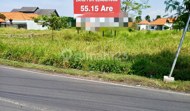 Land 55.5 Ares in a Rare Road in Canggu Premium Location for Good Investment!!