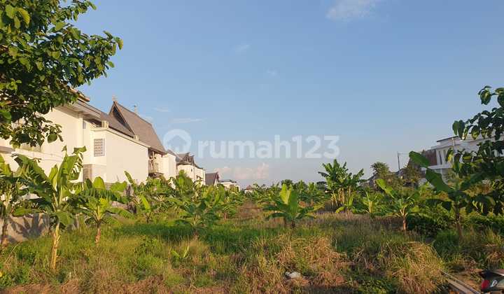 Tanah Premium 37 Are Di Beraban Canggu Cocok Untuk Usaha Commercil Dan Kompleks Villa