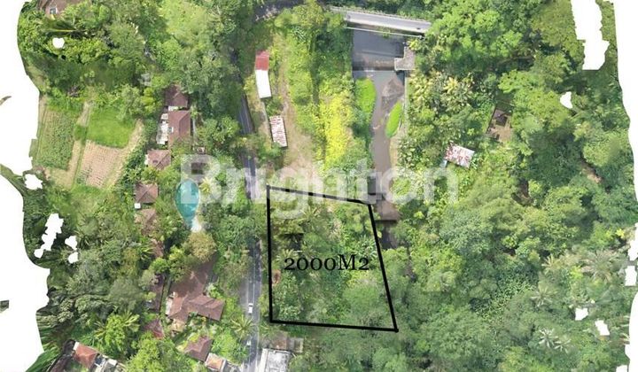 TANAH 20 ARE DI UBUD BERADA DI LAHAN COMERSIAL BUAT INVESTASI!! TANAH 20 ARE DI UBUD BERADA DI LAHAN COMERSIAL BUAT INVESTASI!!