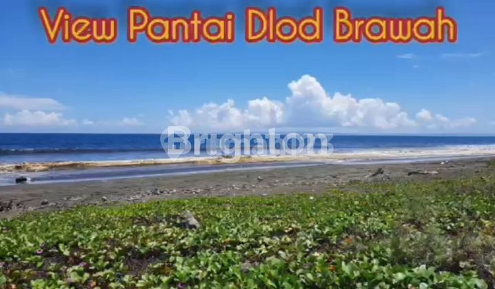 TANAH 77,8 ARE DI JEMBRANA BALI – VIEW LAUT INDAH, INVESTASI TERBAIK! 1