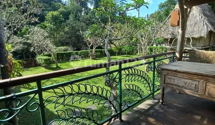 Rumah Tenang Penuh Kenyamanan Lingkungan Asri Penuh Dengan Taman 2