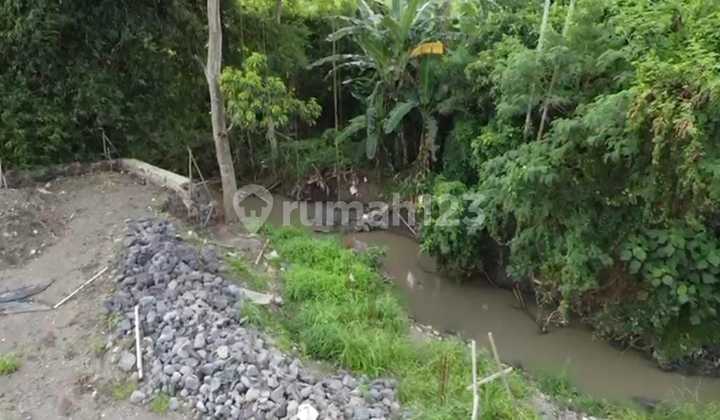 Land 4.25 Ares Premium Location in Tumbak Bayu Pererenan Land 4.25 Ares Premium Location in Tumbak Bayu Pererenan