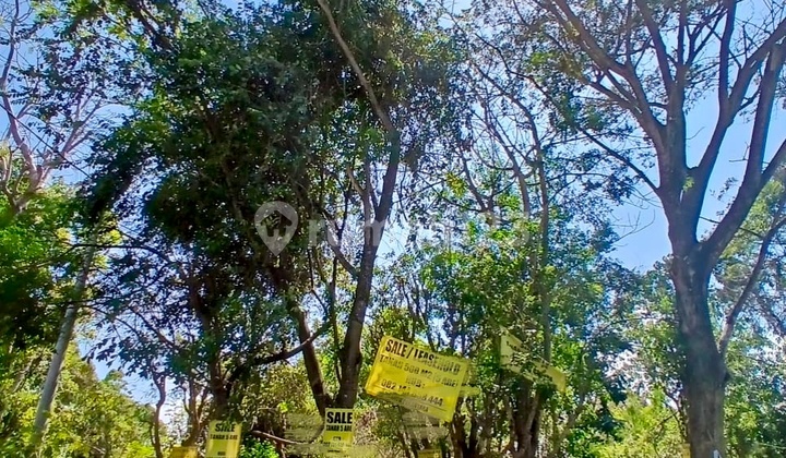 Tanah Luas 5 Are Di Uluwatu Pecatu Cocok Untuk Bangun Villa Comercial