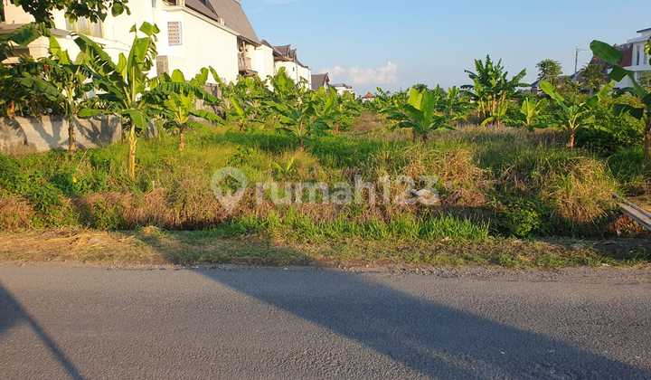 Tanah Premium 37 Are Di Beraban Canggu Cocok Untuk Usaha Commercil Dan Kompleks Villa