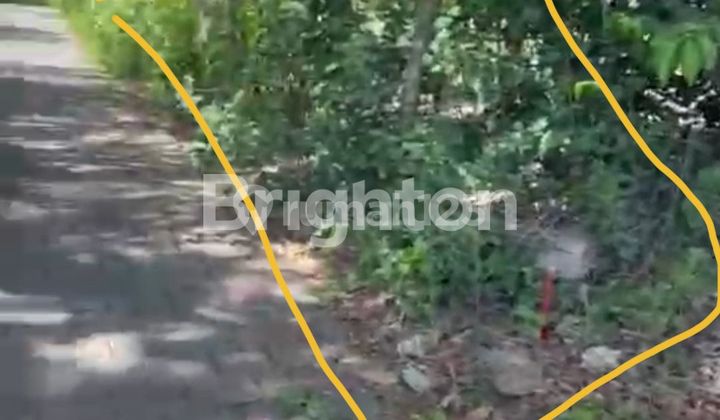 LAND 5 ARE IN PECATU JIMBARAN LAND 5 ARE IN PECATU JIMBARAN