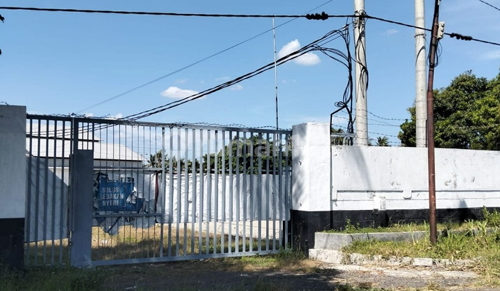 For Sale Ex Factory H1102 Kapongan Situbondo Cheap For Sale Ex Factory H1102 Kapongan Situbondo Cheap