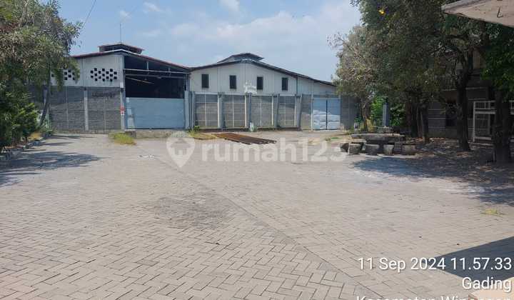 Gudang Ex Pabrik Di Bawah Pasar Winongan 828 L R Pasuruam Murah Gudang Ex Pabrik Di Bawah Pasar Winongan 828 L R Pasuruam Murah
