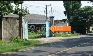 Gudang Nol Jalan Raya W1203 Brondong Lamongan Tuban Murah Gudang Nol Jalan Raya W1203 Brondong Lamongan Tuban Murah